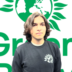 Sweatshirt Green Party Black Front Detail